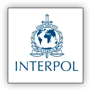 imgi_31_Interpol